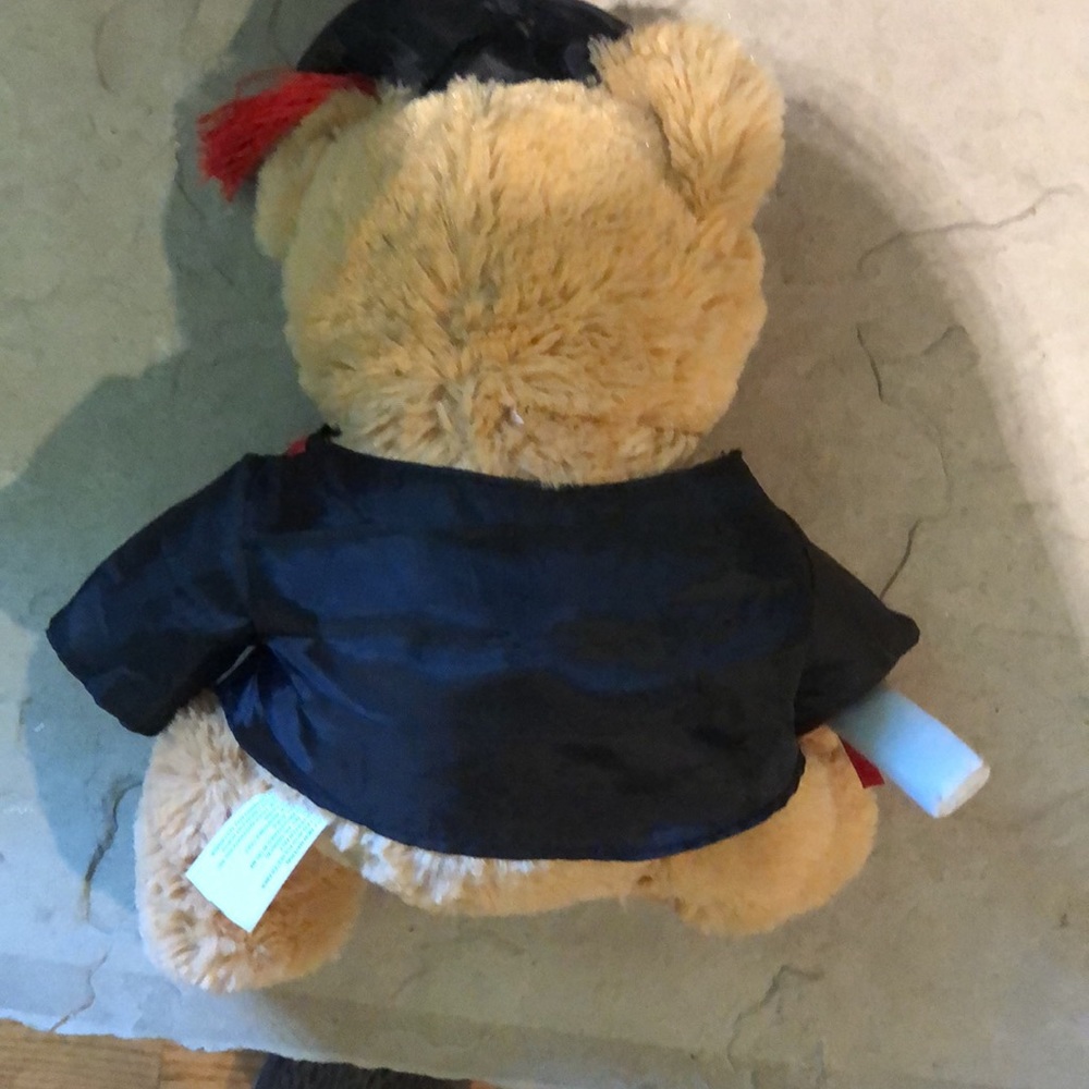 Graduation Bear! - Picture 4 of 10